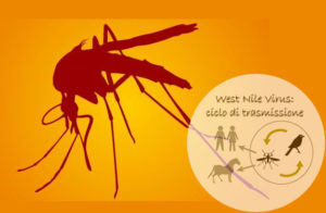 West Nile virus